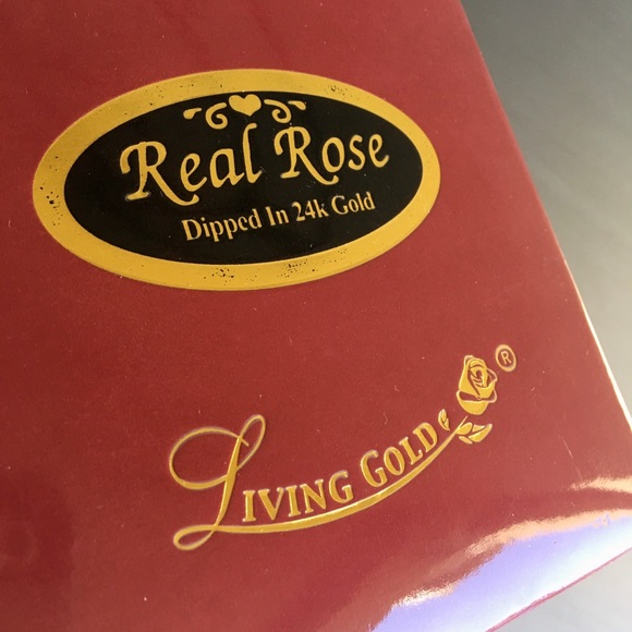 Living Gold Rose, Living Gold Real Rose - Picture 5 of 6